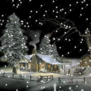 Meet your Posher, Liset